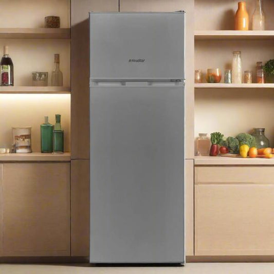 REFRIGERATEUR NEWSTAR 300 LITRES DEFROST 300 S - SILVER