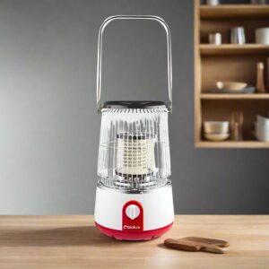 CHAUFFAGE ELECTRIQUE BIOLUX 2000W CH2002